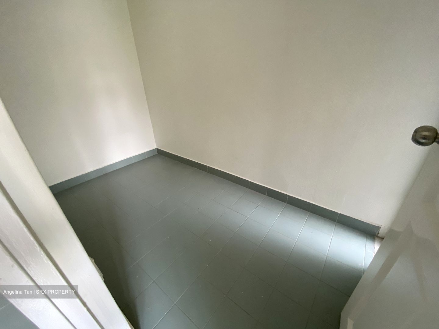 Dunearn Road (D11), Condominium #622702881